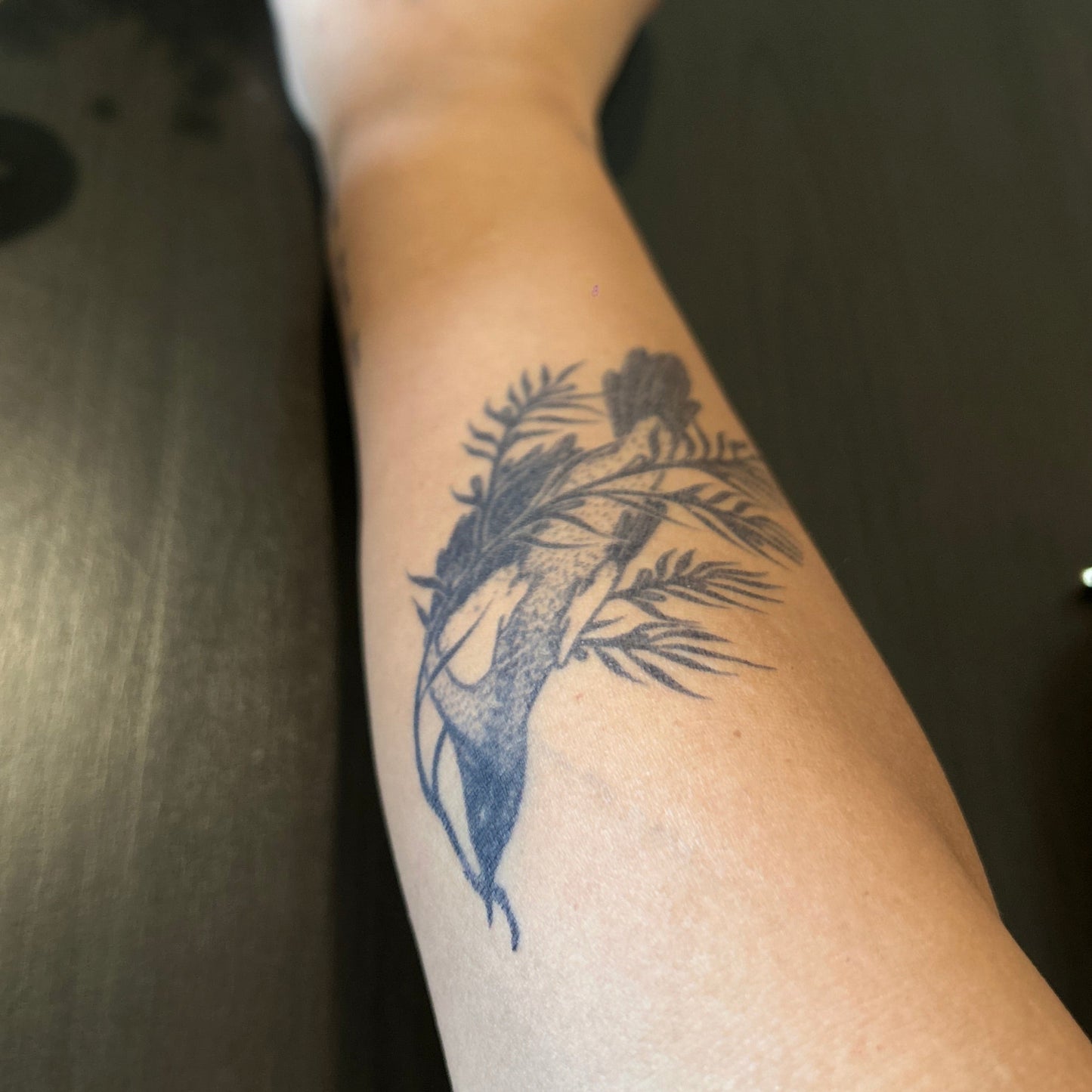 Noah's Dove Tattoo | 2 Week Temporary Tattoo | Bird Tattoo | Olive Tattoo | Olive Branch Tattoo | Christian Tattoo | Nature Tattoo